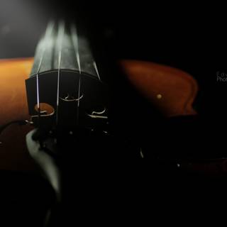 4k violin wallpaper