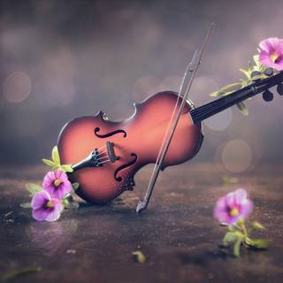 4k violin wallpaper