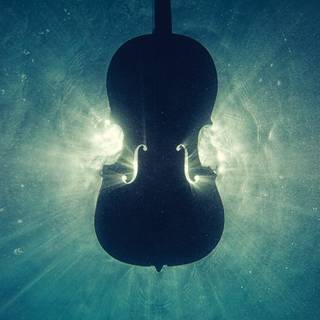 4k violin wallpaper