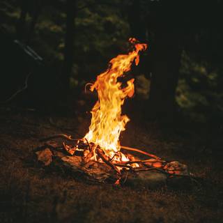 Camp fire 4k wallpaper