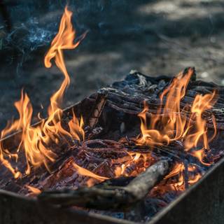 Camp fire 4k wallpaper