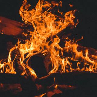 Camp fire 4k wallpaper