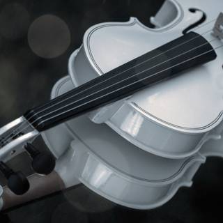 4k violin wallpaper