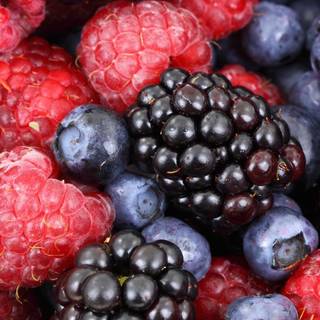 Blackberry fruit wallpaper