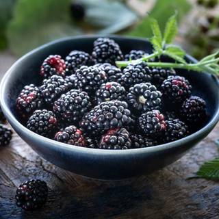 Blackberry fruit wallpaper