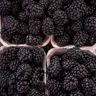 Blackberry fruit wallpaper