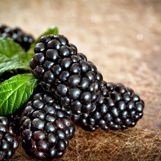 Blackberry fruit wallpaper