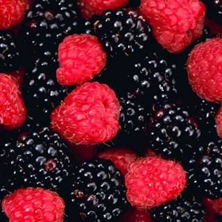 Blackberry fruit wallpaper