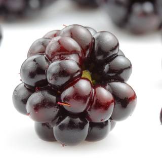 Blackberry fruit wallpaper