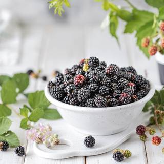Blackberry fruit wallpaper