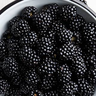 Blackberry fruit wallpaper