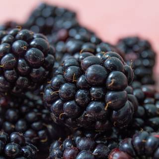 Blackberry fruit wallpaper