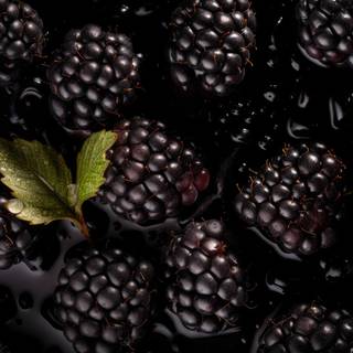Blackberry fruit wallpaper
