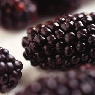 Blackberry fruit wallpaper