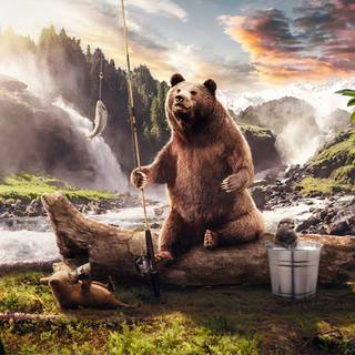 Black bear 4k wallpaper