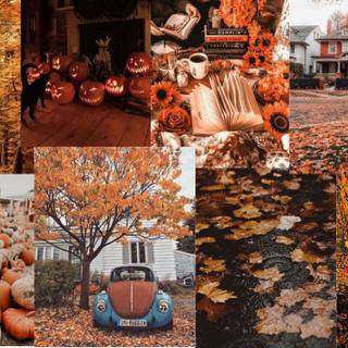 Autumn vibe PC wallpaper