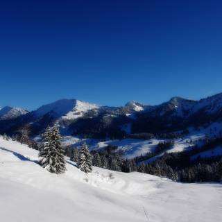 Winter panorama wallpaper