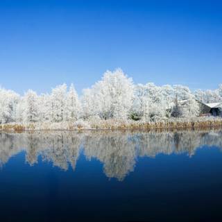 Winter panoramic wallpaper