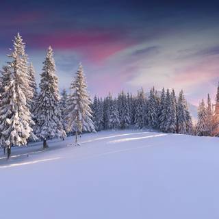 Winter panorama wallpaper