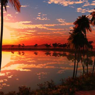 Beautiful sunset 4k wallpaper