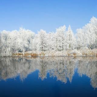 Winter panoramic wallpaper