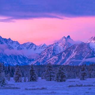 Winter panoramic wallpaper