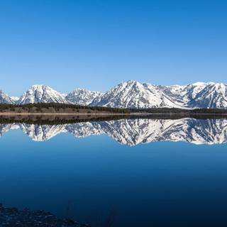 Winter panoramic wallpaper