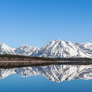 Winter panorama wallpaper
