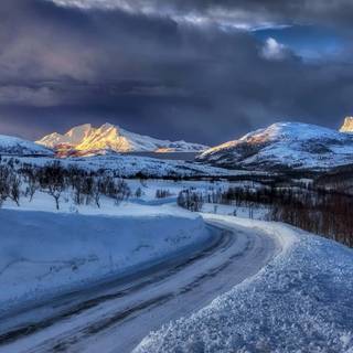 Winter panoramic wallpaper