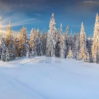 Winter panoramic wallpaper