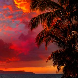 Ocean phone 4k wallpaper