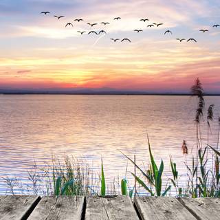 Beautiful sunset 4k wallpaper