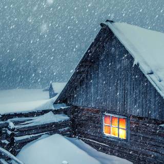 Winter soft wallpaper