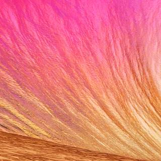 Apple gold 4k wallpaper