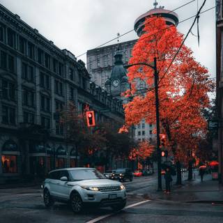 Land Rover car 4k iPhone wallpaper