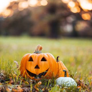 Pumpkin Halloween 2023 wallpaper