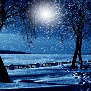 Snow winter night wallpaper