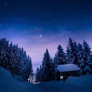 Snow winter night wallpaper