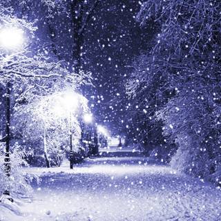 Snow winter night wallpaper