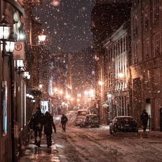 Snow winter night wallpaper