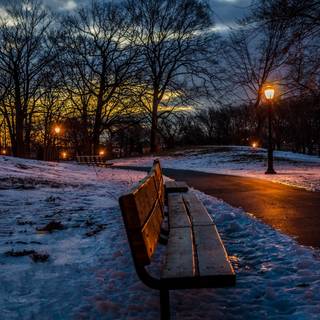 Snow winter night wallpaper