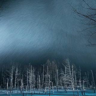 Snow winter night wallpaper