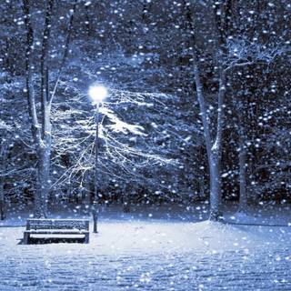 Snow winter night wallpaper
