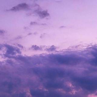 Purple aesthetic 4k iPhone wallpaper