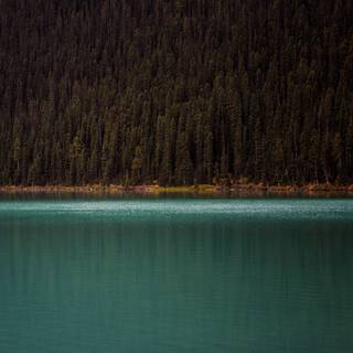 Minimal nature 4k wallpaper