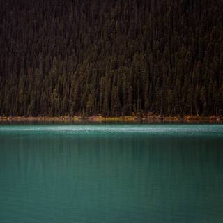 Minimal nature 4k wallpaper