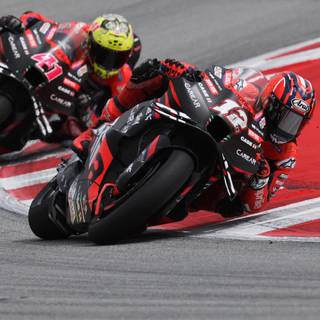 HD desktop Pecco Bagnaia wallpaper