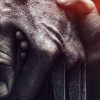 Logan 4k PC wallpaper