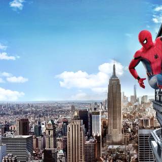 Tom Holland PC 4k wallpaper