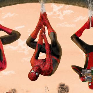 Tom Holland PC 4k wallpaper